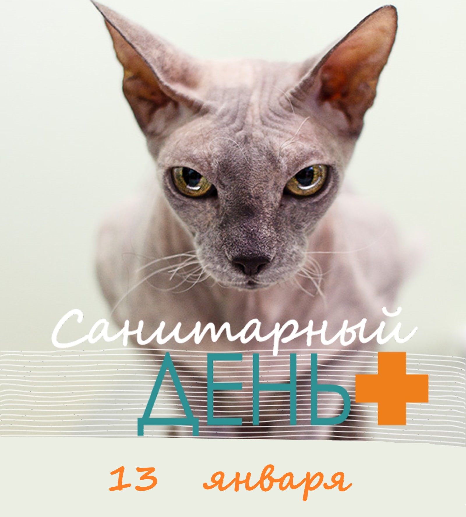 Санитарный день