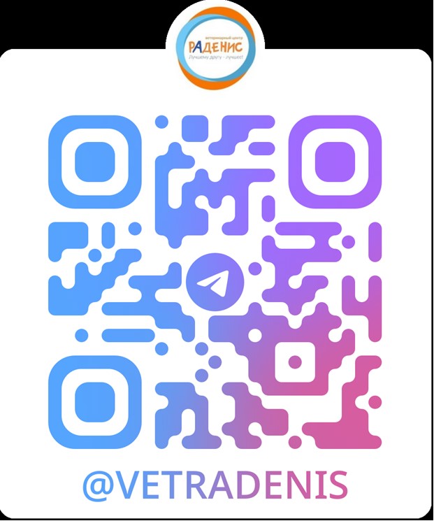 Раденис всегда на связи